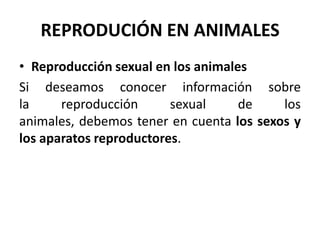 REPRODUCIÓN EN ANIMALES
• Reproducción sexual en los animales
Si deseamos conocer información sobre
la     reproducción      sexual     de    los
animales, debemos tener en cuenta los sexos y
los aparatos reproductores.
 