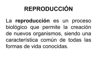 REPRODUCCIÓN
La reproducción es un proceso
biológico que permite la creación
de nuevos organismos, siendo una
característica común de todas las
formas de vida conocidas.
 