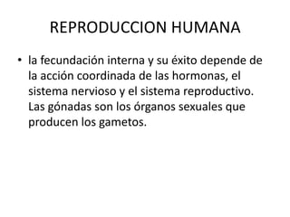 REPRODUCCION HUMANA
• la fecundación interna y su éxito depende de
  la acción coordinada de las hormonas, el
  sistema nervioso y el sistema reproductivo.
  Las gónadas son los órganos sexuales que
  producen los gametos.
 
