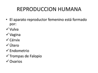 REPRODUCCION HUMANA
• El aparato reproductor femenino está formado
  por:
 Vulva
 Vagina
 Cérvix
 Útero
 Endometrio
 Trompas de Falopio
 Ovarios
 