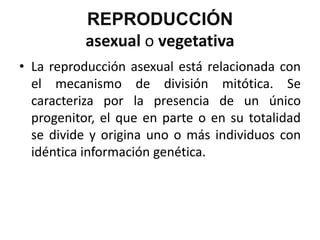 REPRODUCCIÓN
           asexual o vegetativa
• La reproducción asexual está relacionada con
  el mecanismo de división mitótica. Se
  caracteriza por la presencia de un único
  progenitor, el que en parte o en su totalidad
  se divide y origina uno o más individuos con
  idéntica información genética.
 