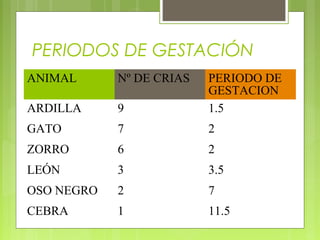 PERIODOS DE GESTACIÓN
ANIMAL Nº DE CRIAS PERIODO DE
GESTACION
ARDILLA 9 1.5
GATO 7 2
ZORRO 6 2
LEÓN 3 3.5
OSO NEGRO 2 7
CEBRA 1 11.5
 