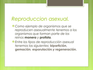 Reproduccion asexual.
 Como ejemplo de organismos que se
reproducen asexualmente tenemos a los
organismos que forman parte de los
reinos monera y protista.
 Entre los tipos de reproducción asexual
tenemos las siguientes: bipartición,
gemación, esporulación,y regeneración.
 