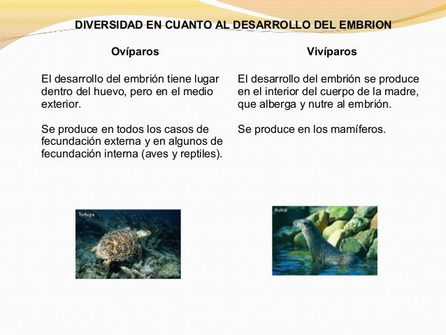 POLINIZACIÓN: 
