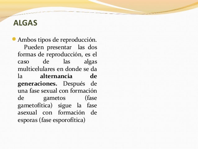 ALGASAmbos tipos de reproducción.Pueden presentar las dosformas de reproducción, es elcaso de las algasmulticelulare...