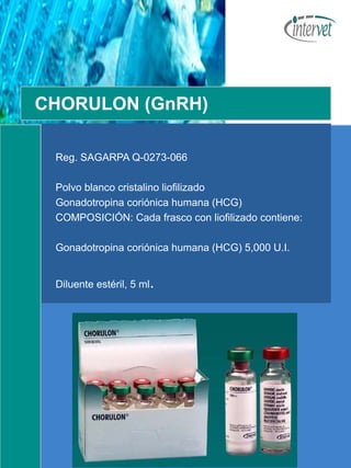 Reproduccion | PPT
