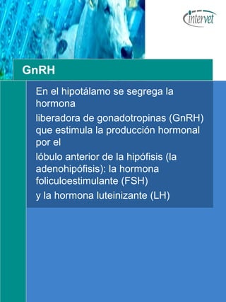 Reproduccion | PPT