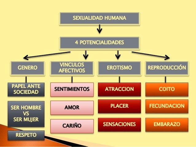Reproduccion
