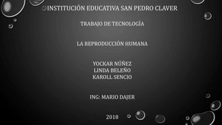 INSTITUCIÓN EDUCATIVA SAN PEDRO CLAVER
TRABAJO DE TECNOLOGÍA
LA REPRODUCCIÓN HUMANA
YOCKAR NÚÑEZ
LINDA BELEÑO
KAROLL SENCIO
ING: MARIO DAJER
2018
 