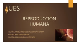 REPRODUCCION
HUMANA
ALUMNA: ANGELA MICHELLE VALENZUELA BAUTISTA
NIVELATORIO DE ENFERMERIA
MATERIA: GINECOLOGIA Y OBSTETRICIA
UES
 