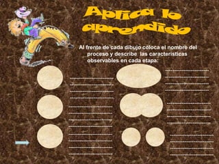 Al frente de cada dibujo coloca el nombre del
         proceso y describe las características
         observables en cada etapa:
                                     ------------------------
------------------------             ------------------------
------------------------             ------------------------
------------------------             ------------------------
------------------------
                                      ------------------------
------------------------
                                      ------------------------
------------------------
                                      ------------------------
------------------------
                                      ------------------------
------------------------
------------------------               ------------------------
------------------------               ------------------------
------------------------               ------------------------
------------------------               ------------------------
 