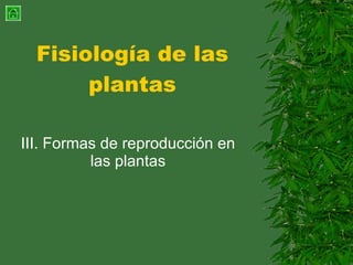 Fisiología de las plantas III. Formas de reproducción en las plantas 
