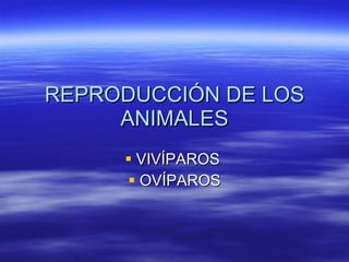 REPRODUCCIÓN DE LOS ANIMALES ,[object Object],[object Object]