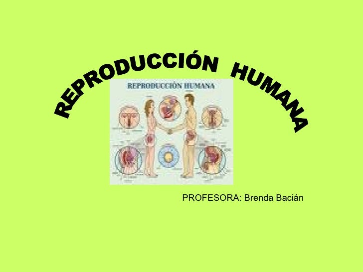 metabolismo de acidos grasos Natural