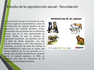 Estudio de la reproducción sexual - fecundación
• La reproducción sexual es el proceso de crear
un nuevo organismo descendiente a partir de
la combinación de material genético de dos
organismos con material genético similar,
comenzando con un proceso que se denomina
meiosis, que es un tipo especializado de
división celular; el cual se produce en
organismos eucariotas. Los gametos son los
dos tipos de células especiales, uno más
grande, el femenino, y otro más pequeño, el
masculino. La fusión de estas dos células se
llama fertilización y ésta crea un cigoto, que
incluye material de los dos gametos en un
proceso que se llama recombinación genética
donde el material genético, el ADN, se
empareja para que las secuencias de los
cromosomas homólogos se alineen.
2
 