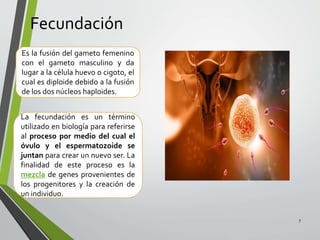 Fecundación
7
Es la fusión del gameto femenino
con el gameto masculino y da
lugar a la célula huevo o cigoto, el
cual es diploide debido a la fusión
de los dos núcleos haploides.
La fecundación es un término
utilizado en biología para referirse
al proceso por medio del cual el
óvulo y el espermatozoide se
juntan para crear un nuevo ser. La
finalidad de este proceso es la
mezcla de genes provenientes de
los progenitores y la creación de
un individuo.
 