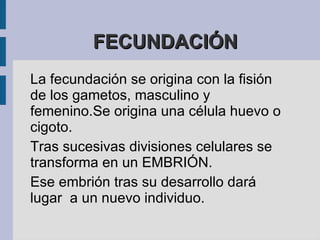 Este mecanismo de reproducción permite la formación de dos núcleos hijos idénticos, mientras que  la división posterior del citoplasma da lugar a la formación de dos células hijas idénticas.  