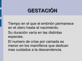 Las  gónadas masculinas  en los animales son los testículos y producen espermatozoides. 