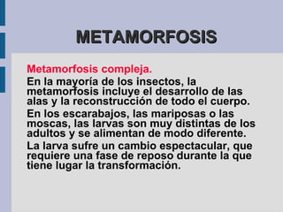 REPRODUCCIÓN SEXUAL La  fecundación  consiste en la fusión de los núcleos de los gametos masculino y femenino, lo cual permite mezclar los genes de ambos progenitores en la producción de la descendencia.  