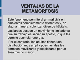 FECUNDACIÓN La fecundación se origina con la fisión de los gametos, masculino y femenino.Se origina una célula huevo o cigoto. 