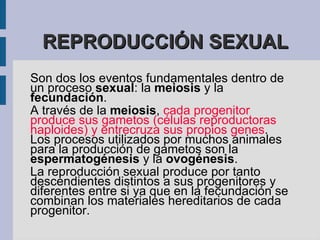 Entre los tipos de reproducción animal asexual destacan las siguientes:  bipartición,   gemación  y   regeneración.   
