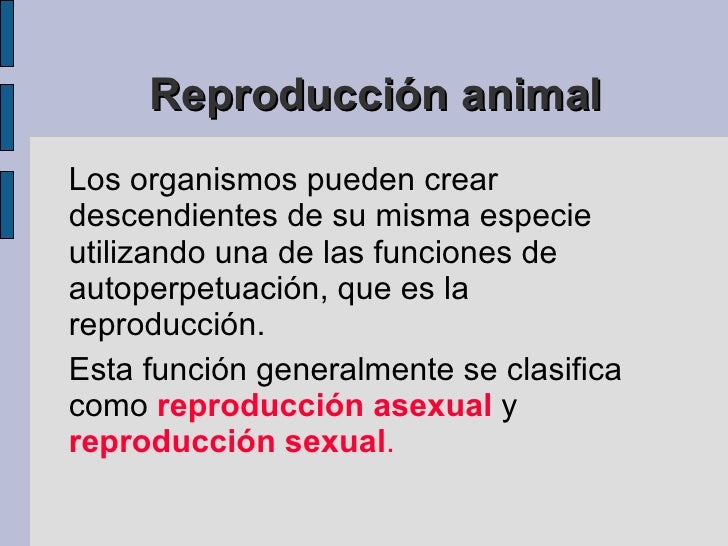 Reproduccion Animal