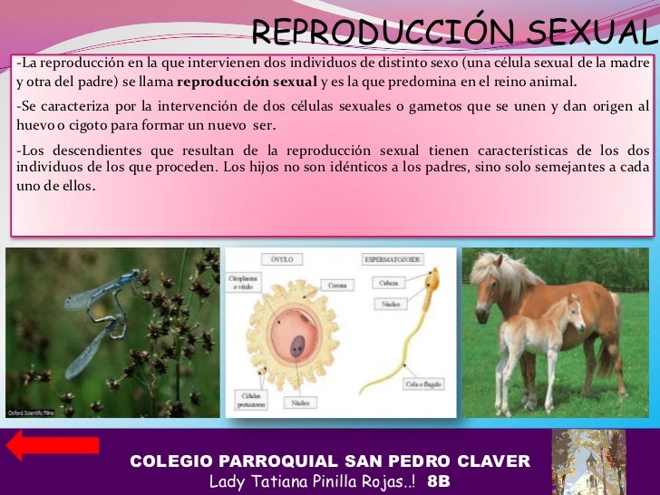en línea masaje sexual sexo en línea masaje sexual sexo