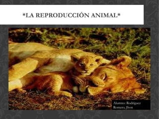 *LA REPRODUCCIÓN ANIMAL*




                      Alumno: Rodríguez
                      Romero, Jhon
 