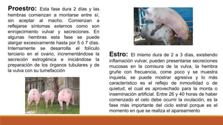 Proestro REPRODUCCION ANIMAL - SISTEMA REPRODUCTOR DE CERDOS - EXPOSICION.pptx