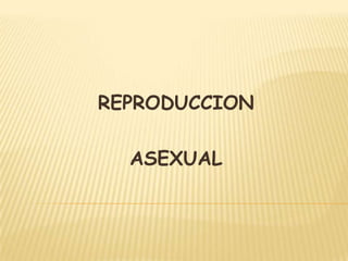 REPRODUCCION ASEXUAL 