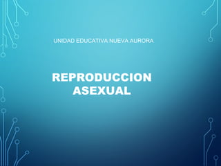 UNIDAD EDUCATIVA NUEVA AURORA
REPRODUCCION
ASEXUAL
 