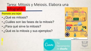 Tarea: Mitosis y Meiosis. Elabora una
infografía.
Promete ana tejer
• ¿Qué es mitosis?
• ¿Cuáles son las fases de la mitosis?
• ¿Para qué sirve la mitosis?
• ¿Qué es la mitosis y sus ejemplos?
 