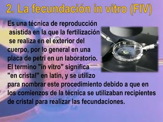 Es una técnica de reproducción
asistida en la que la fertilización
se realiza en el exterior del
cuerpo, por lo general en una
placa de petri en un laboratorio.
El termino "in vitro" significa
"en cristal" en latin, y se utilizo
para nombrar este procedimiento debido a que en
los comienzos de la técnica se utilizaban recipientes
de cristal para realizar las fecundaciones.
 