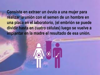 Consiste en extraer un óvulo a una mujer para
realizar la unión con el semen de un hombre en
una placa en el laboratorio, (el embrión se puede
dividir hasta en cuatro células) luego se vuelve a
implantar en la madre el resultado de esa unión.
 