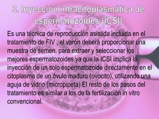 Es una técnica de reproducción asistida incluida en el
tratamiento de FIV , el varón deberá proporcionar una
muestra de semen, para extraer y seleccionar los
mejores espermatozoides ya que la ICSI implica la
inyección de un solo espermatozoide directamente en el
citoplasma de un óvulo maduro (ovocito), utilizando una
aguja de vidrio (micropipeta) El resto de los pasos del
tratamiento es similar a los de la fertilización in vitro
convencional.
 