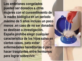 Los embriones congelados
pueden ser donados a otras
mujeres con el consentimiento de
la madre biológica en un periodo
máximo de 5 años incluso un poco
menos .en caso de no ser donados
se destinan a investigación.
España prohíbe elegir cualquier
característica de los hijos salvo en
ciertos casos, para evitar
enfermedades hereditarias o para
hacer trasplantes entre hermanos
para lograr sobrevivir.
 