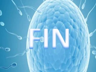 Reproducción asistida 