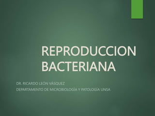 REPRODUCCION
BACTERIANA
DR. RICARDO LEÓN VÁSQUEZ
DEPARTAMENTO DE MICROBIOLOGÍA Y PATOLOGÍA UNSA
 