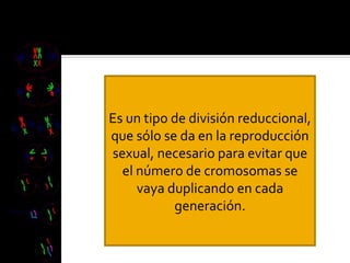 Es un tipo de división reduccional, que sólo se da en la reproducción sexual, necesario para evitar que el número de cromosomas se vaya duplicando en cada generación. 