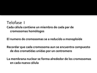 Telofase  I Cada célula contiene un miembro de cada par de cromosomas homólogos El numero de cromosomas se a reducido a monoploide  Recordar que cada cromosoma aun se encuentra compuesto de dos cromatidas unidas por un centromero  La membrana nuclear se forma alrededor de los cromosomas en cada nueva célula 