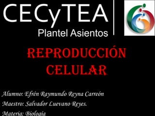Reproducción
          Celular
Alumno: Efrén Raymundo Reyna Carreón
Maestro: Salvador Luevano Reyes.
Materia: Biología
 