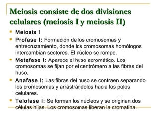 Meiosis consiste de dos divisionesMeiosis consiste de dos divisiones
celulares (meiosis I y meiosis II)celulares (meiosis I y meiosis II)
 Meiosis I
 Profase I: Formación de los cromosomas y
entrecruzamiento, donde los cromosomas homólogos
intercambian sectores. El núcleo se rompe.
 Metafase I: Aparece el huso acromático. Los
cromosomas se fijan por el centrómero a las fibras del
huso.
 Anafase I: Las fibras del huso se contraen separando
los cromosomas y arrastrándolos hacia los polos
celulares.
 Telofase I: Se forman los núcleos y se originan dos
células hijas. Los cromosomas liberan la cromatina.
 