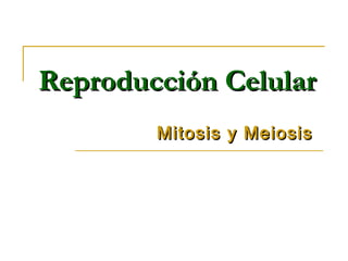 Reproducción CelularReproducción Celular
Mitosis y MeiosisMitosis y Meiosis
 
