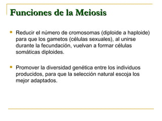 Funciones de la MeiosisFunciones de la Meiosis
 Reducir el número de cromosomas (diploide a haploide)
para que los gameto...