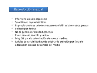 Reproducción asexual
• Interviene un solo organismo
• Se obtienen copias idénticas
• Es propio de seres unicelulares pero también se da en otros grupos
• Se hace por mitosis
• No se genera variabilidad genética
• Es un proceso sencillo y rápido.
• Muy útil para la colonización de nuevos medios.
• La falta de variabilidad puede originar la extinción por falta de
adaptación en caso de cambio del medio
 