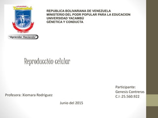 REPUBLICA BOLIVARIANA DE VENEZUELA
MINISTERIO DEL PODR POPULAR PARA LA EDUCACION
UNIVERSIDAD YACAMBÚ
GÉNETICA Y CONDUCTA
Reproducción celular
Participante:
Genesis Contreras
C.I :25.560.922
Junio del 2015
Profesora: Xiomara Rodriguez
 