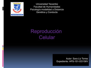 Universidad Yacambú
Facultad de Humanidades
Psicología modalidad a Distancia
Genética y Conducta
Reproducción
Celular
Autor: Sara Liz Torres
Expediente: HPS-151-OO156V
 