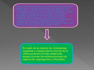 Reproduccion celular