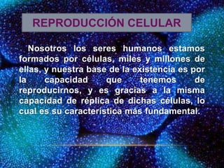 Nosotros los seres humanos estamos
formados por células, miles y millones de
ellas, y nuestra base de la existencia es por
la capacidad que tenemos de
reproducirnos, y es gracias a la misma
capacidad de réplica de dichas células, lo
cual es su característica más fundamental.
REPRODUCCIÓN CELULAR
 