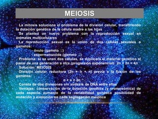 MEIOSIS
La mitosis soluciona el problema de la división celular, transfiriendo
la dotación genética de la célula madre a las hijas
Se plantea un nuevo problema con la reproducción sexual en
animales multicelulares
La reproducción sexual es la unión de dos células sexuales o
gametos:
‐ óvulo (gameto ♀)
‐ espermatozoide (gameto ♂)
Problema: si se unen dos células, se duplicará el material genético al
pasar de una generación a otra (progresión exponencial): 2n + 2n = 4n
Solución: MEIOSIS
División celular reductora (2n > n + n) previa a la fusión de los
gametos:
n + n = 2n
Consta de dos divisiones sin síntesis de DNA entre ellas
Ventajas: conservación de la dotación genética (y cromosómica) de
cada especie aumento de la variabilidad genética posibilidad de
mutación y evolución en cada segregación meiótica
 